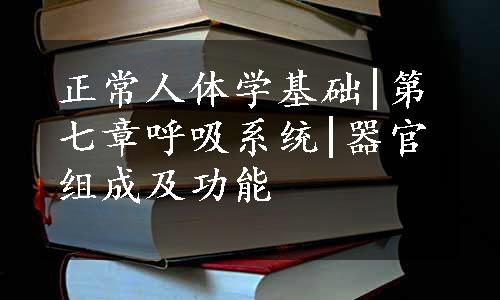 正常人体学基础|第七章呼吸系统|器官组成及功能