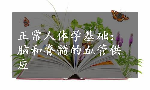 正常人体学基础：脑和脊髓的血管供应