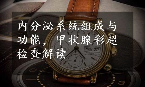 内分泌系统组成与功能，甲状腺彩超检查解读