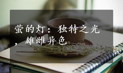 萤的灯：独特之光，雄雌异色