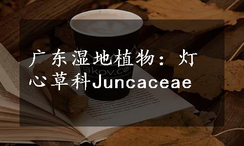 广东湿地植物：灯心草科Juncaceae