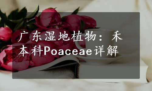 广东湿地植物：禾本科Poaceae详解