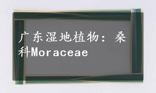 广东湿地植物：桑科Moraceae