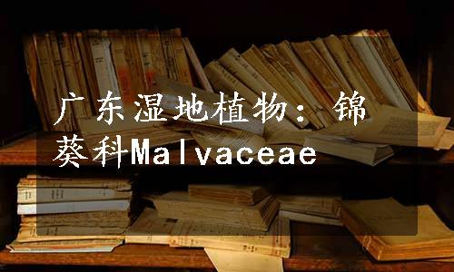 广东湿地植物：锦葵科Malvaceae