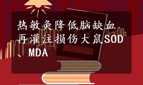 热敏灸降低脑缺血再灌注损伤大鼠SOD、MDA