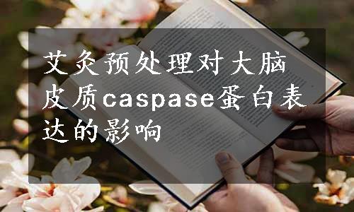 艾灸预处理对大脑皮质caspase蛋白表达的影响