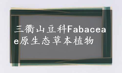 三衢山豆科Fabaceae原生态草本植物