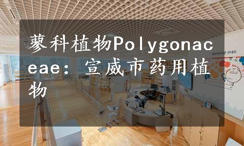 蓼科植物Polygonaceae：宣威市药用植物