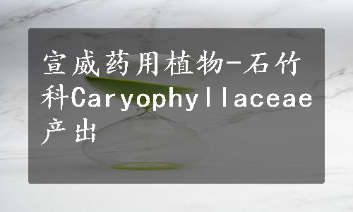 宣威药用植物-石竹科Caryophyllaceae产出