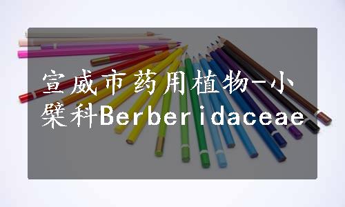 宣威市药用植物-小檗科Berberidaceae