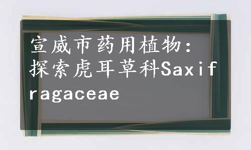 宣威市药用植物：探索虎耳草科Saxifragaceae