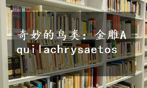 奇妙的鸟类：金雕Aquilachrysaetos