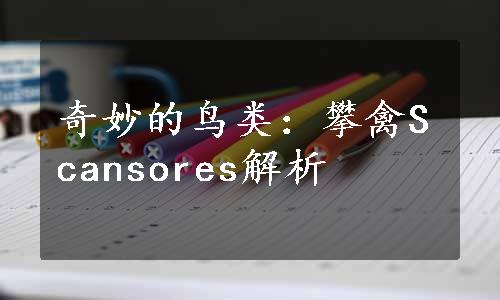 奇妙的鸟类：攀禽Scansores解析