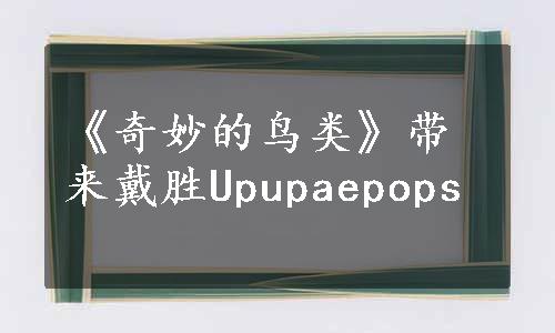 《奇妙的鸟类》带来戴胜Upupaepops