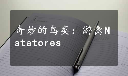 奇妙的鸟类：游禽Natatores