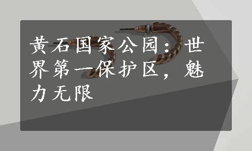 黄石国家公园：世界第一保护区，魅力无限