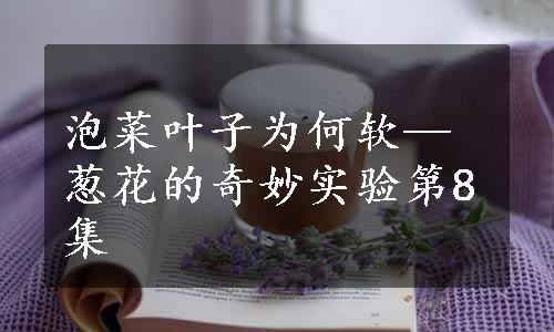 泡菜叶子为何软—葱花的奇妙实验第8集