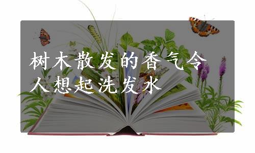 树木散发的香气令人想起洗发水