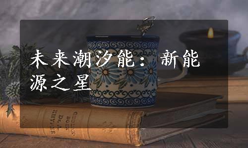 未来潮汐能：新能源之星