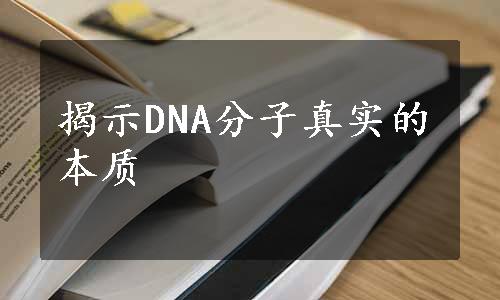 揭示DNA分子真实的本质