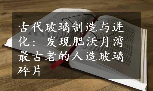 古代玻璃制造与进化: 发现肥沃月湾最古老的人造玻璃碎片