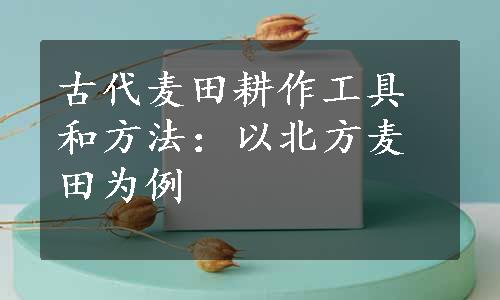 古代麦田耕作工具和方法：以北方麦田为例