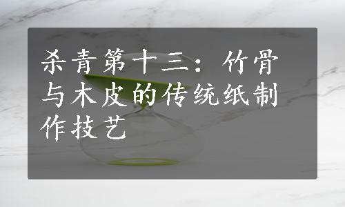 杀青第十三：竹骨与木皮的传统纸制作技艺