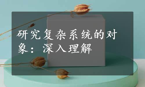 研究复杂系统的对象：深入理解