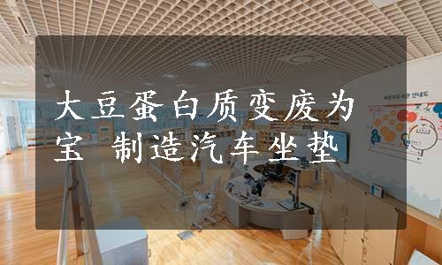 大豆蛋白质变废为宝 制造汽车坐垫