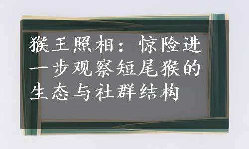 猴王照相：惊险进一步观察短尾猴的生态与社群结构