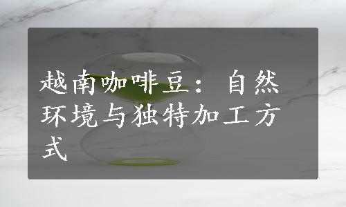 越南咖啡豆：自然环境与独特加工方式