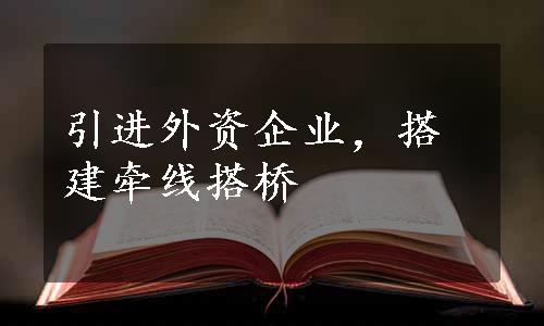 引进外资企业，搭建牵线搭桥