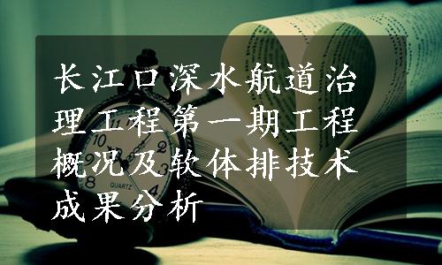 长江口深水航道治理工程第一期工程概况及软体排技术成果分析