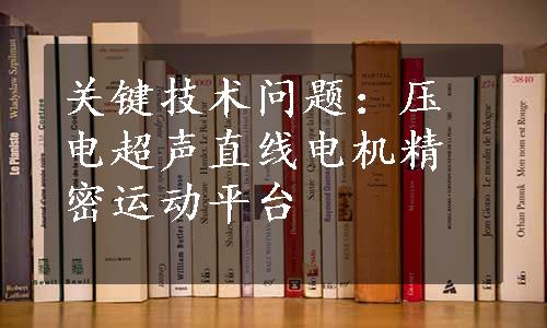 关键技术问题：压电超声直线电机精密运动平台