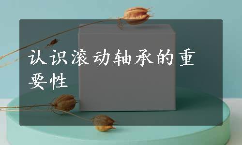 认识滚动轴承的重要性