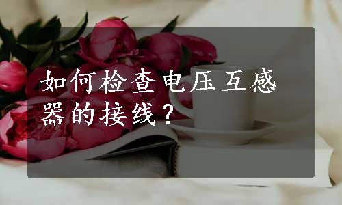 如何检查电压互感器的接线？