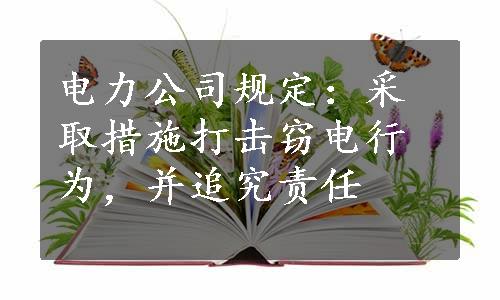 电力公司规定：采取措施打击窃电行为，并追究责任