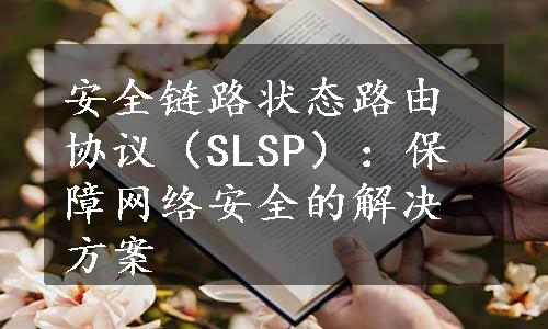 安全链路状态路由协议（SLSP）：保障网络安全的解决方案