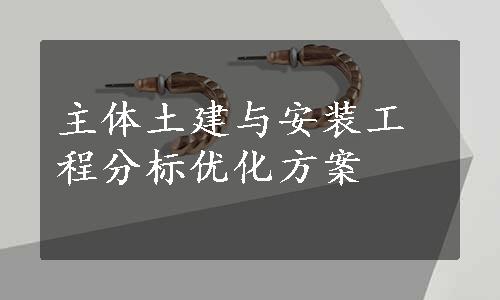 主体土建与安装工程分标优化方案