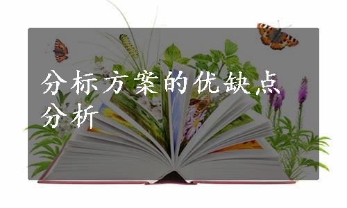 分标方案的优缺点分析