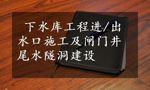  下水库工程进/出水口施工及闸门井尾水隧洞建设