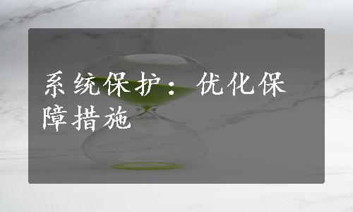 系统保护：优化保障措施