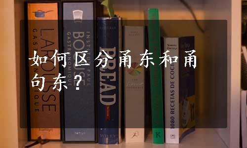 如何区分甬东和甬句东？