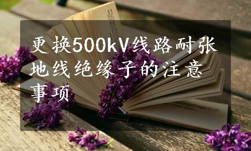 更换500kV线路耐张地线绝缘子的注意事项