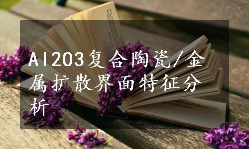 Al2O3复合陶瓷/金属扩散界面特征分析