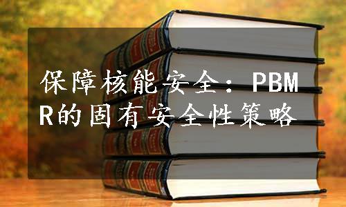 保障核能安全：PBMR的固有安全性策略