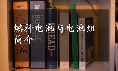 燃料电池与电池组简介