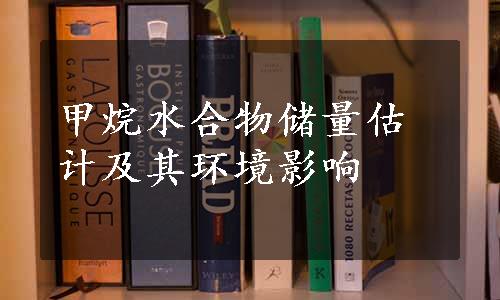 甲烷水合物储量估计及其环境影响