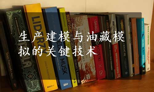 生产建模与油藏模拟的关键技术