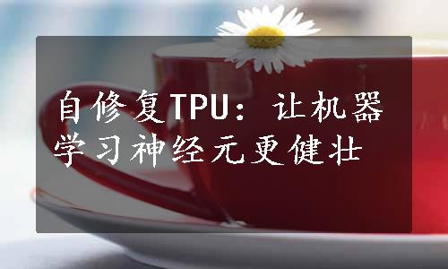 自修复TPU：让机器学习神经元更健壮